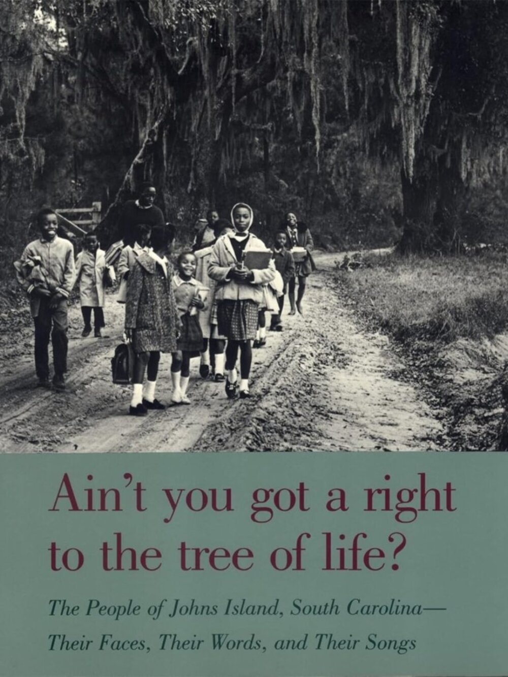 Tree of Life: Voices & Stories from Johns Island, SC - Cultural Heritage Book